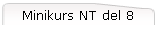 Minikurs NT del 8